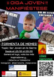 Tormenta de memes